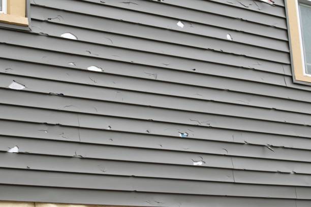 Best Engineered Wood Siding  in Evergreen, MT